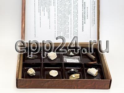 Коллекция Формы сохранности ископаемых растений и животных