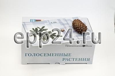 Коллекция Голосеменные растения