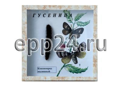 Коллекция Гусеница