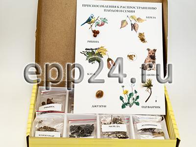 Коллекция Семена и плоды с раздаточным материалом
