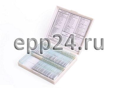 Набор микропрепаратов по анатомии и физиологии