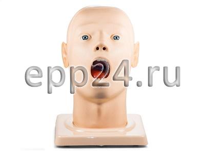 Фантом головы