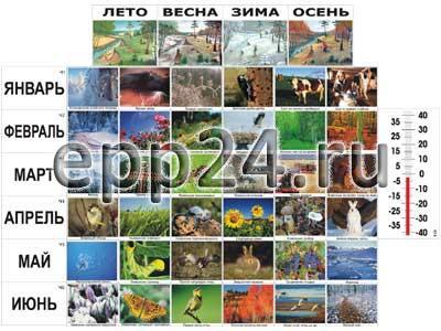 Фенологические наблюдения