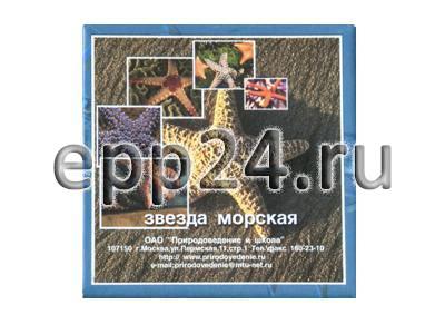 Сухой препарат Звезда морская