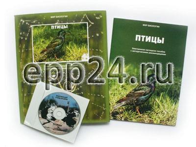 CD Птицы