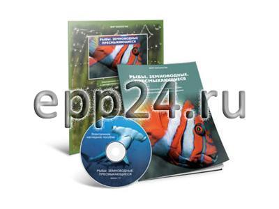 CD Рыбы. Земноводные. Пресмыкающиеся