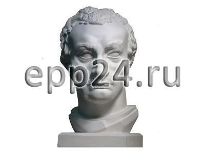 Гипсовая голова Гаттамелата (Эразмо да Нарни)