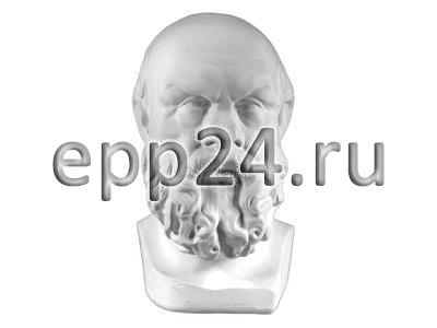 Гипсовая голова Сократ