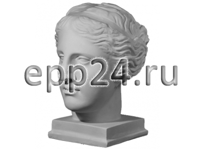 Гипсовая голова Венера Милосская