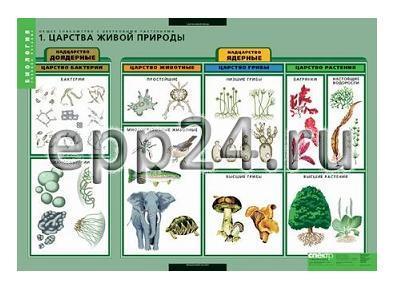 Комплект таблиц Общее знакомство с цветковыми растениями (6 шт.)