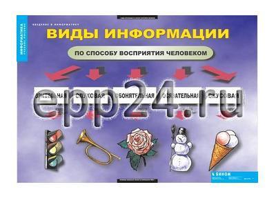 Комплект таблиц Введение в информатику (12 шт.)