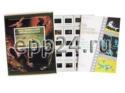 Слайд-альбом Рыбы, земноводные, пресмыкающиеся