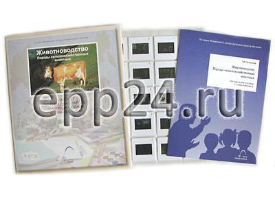 Слайд-комплект Животноводство. Породы сельскохозяйственных животных
