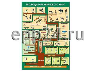 Таблица Эволюция органического мира