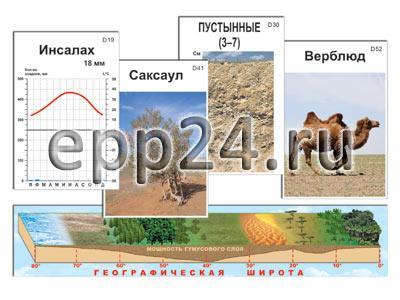 2.11.39 Модель-аппликация природных зон Земли