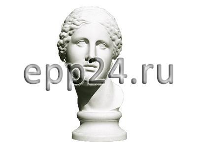 2.12.28 Комплект гипсовых моделей головы