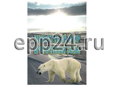 DVD Животный мир Арктической зоны