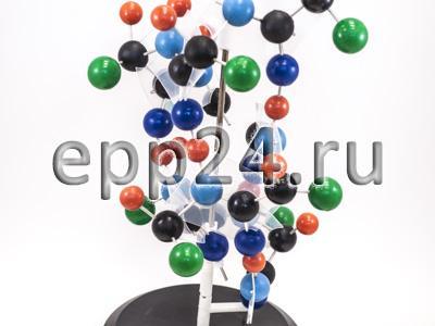 2.17.56 Модель структуры белка
